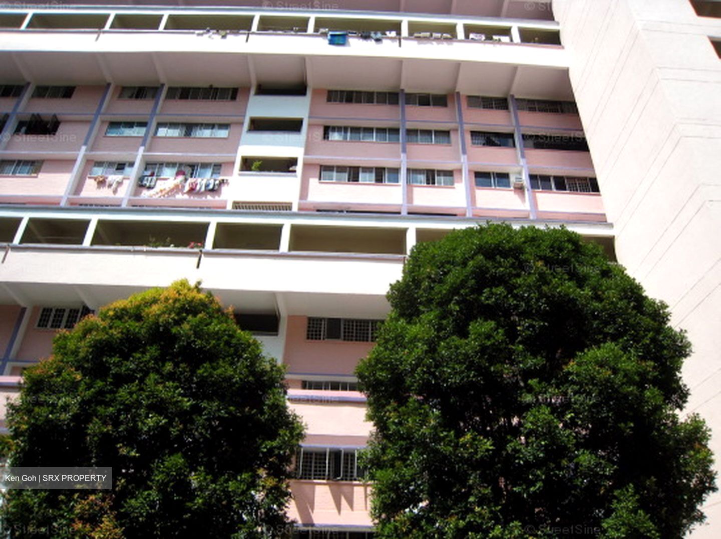 Blk 110 Bukit Purmei Road (Bukit Merah), HDB 3 Rooms #558831701